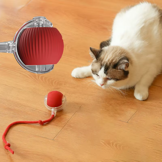 BallBuddy™ - Interactive Ball Toy For Dogs + Cats
