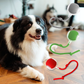 BallBuddy™ - Interactive Ball Toy For Dogs + Cats