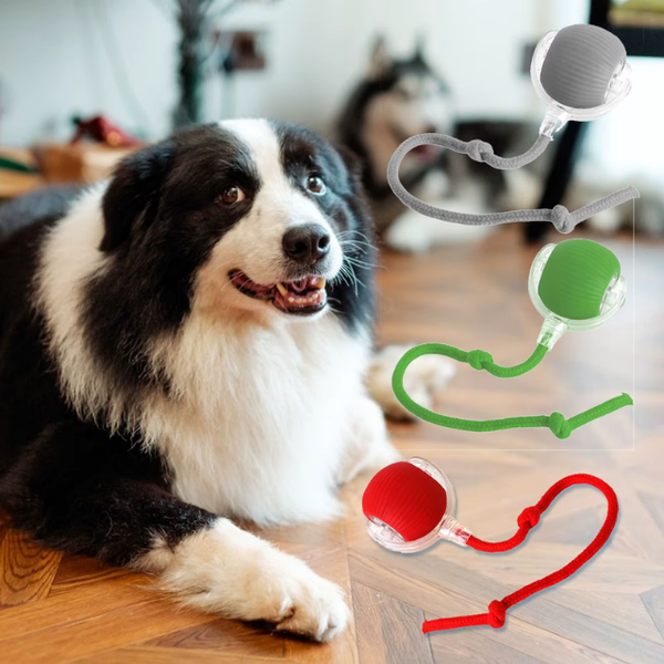 BallBuddy™ - Interactive Ball Toy For Dogs + Cats