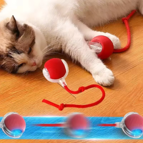 BallBuddy™ - Interactive Ball Toy For Dogs + Cats