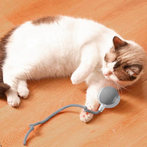 BallBuddy™ - Interactive Ball Toy For Dogs + Cats
